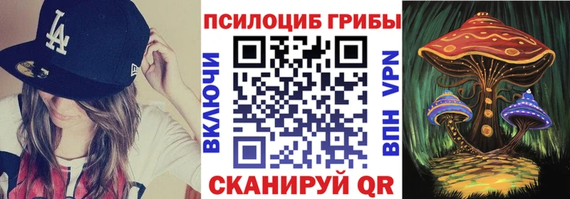 ОМГ ОМГ маркетплейс  Хвалынск  Псилоцибиновые грибы GOLDEN TEACHER 